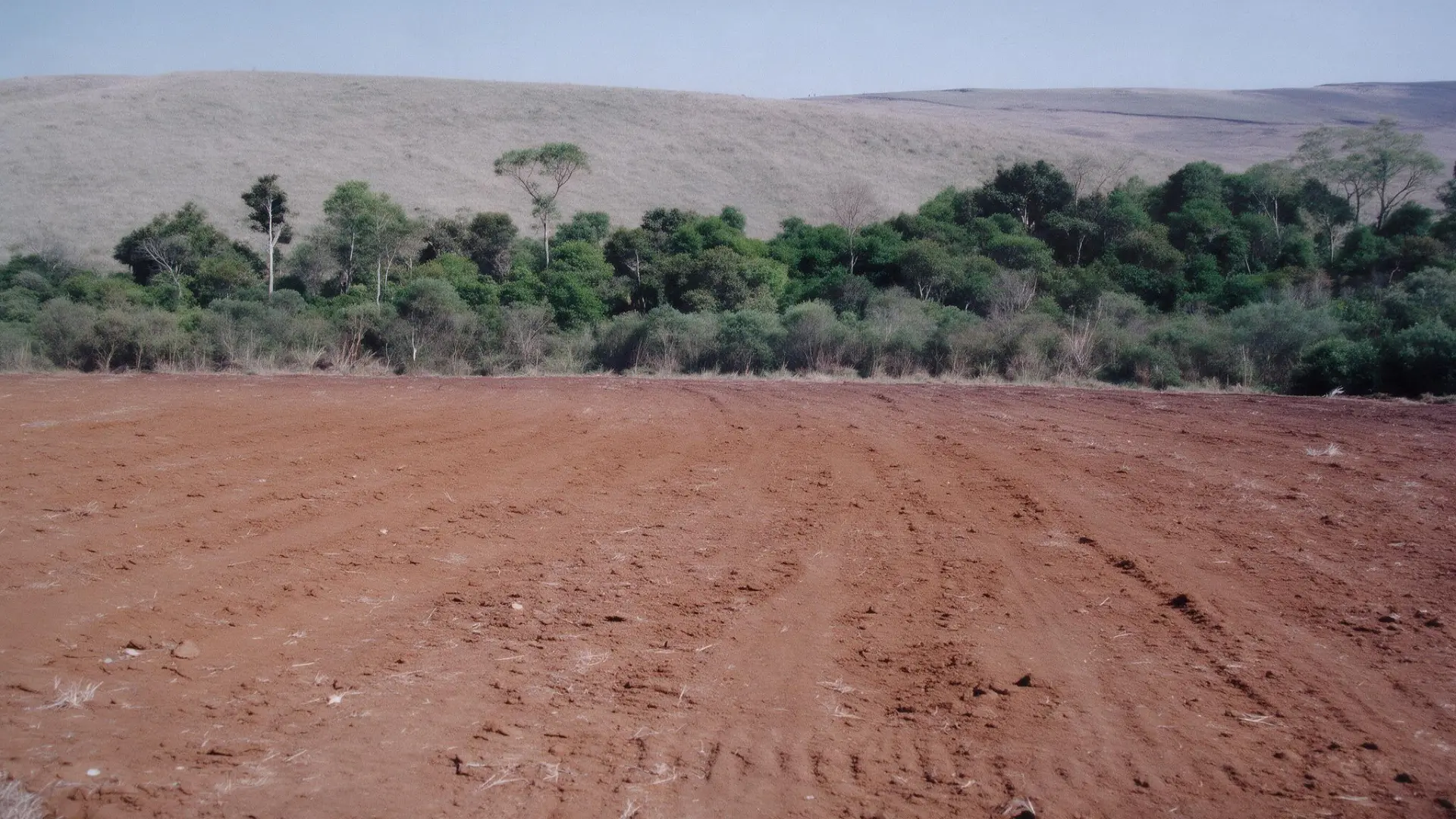 Área sendo preparada para mineração